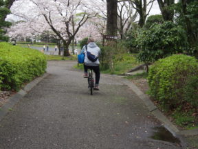 from OLYMPUS 4/3rds camera in Johoku Park in Shizuoka, Japan 