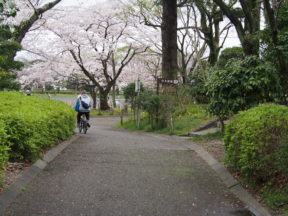 from OLYMPUS 4/3rds camera in Johoku Park in Shizuoka, Japan 