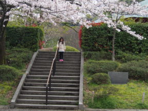 from OLYMPUS 4/3rds camera in Johoku Park in Shizuoka, Japan 