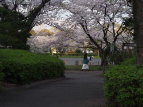 from OLYMPUS 4/3rds camera in Johoku Park in Shizuoka, Japan 