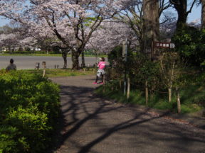 from OLYMPUS 4/3rds camera in Johoku Park in Shizuoka, Japan 