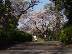 from OLYMPUS 4/3rds camera in Johoku Park in Shizuoka, Japan 