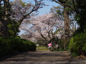 from OLYMPUS 4/3rds camera in Johoku Park in Shizuoka, Japan 