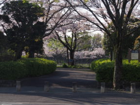 from OLYMPUS 4/3rds camera in Johoku Park in Shizuoka, Japan 